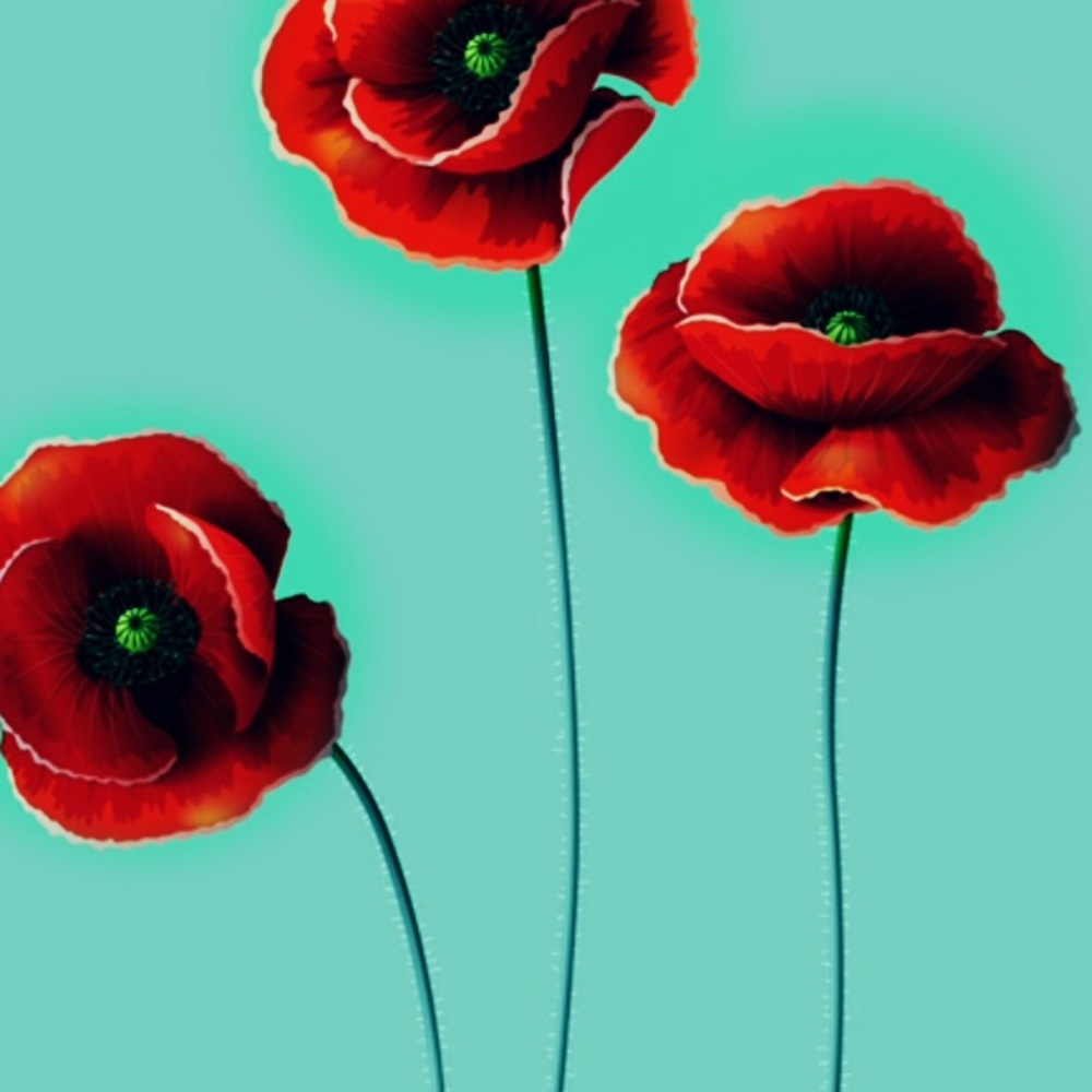 Meet your Posher, Ali